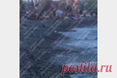 Голые мужчины подрались на нудистском пляже из-за приставаний