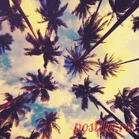 PARENTE moda stile ® в Instagram: «BUONGIORNO 🌴 #goodvibes PARENTE moda stile»
