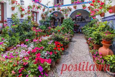 Фестиваль патио в Кордове | Испания - интересно знать | Hellotraveler