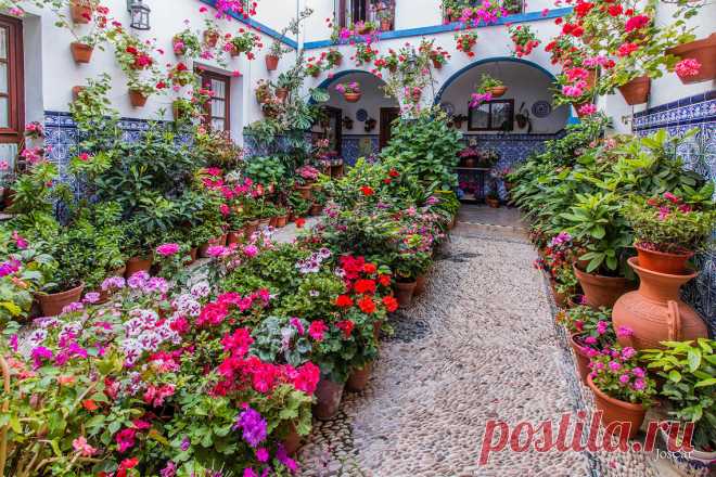 Фестиваль патио в Кордове | Испания - интересно знать | Hellotraveler