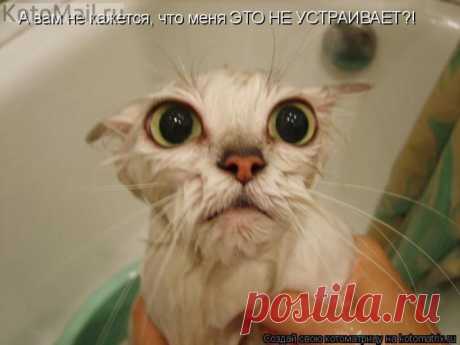 Меня ЭТО НЕ устраивает!!!