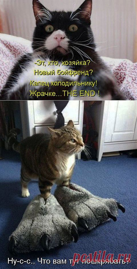 МОТИВАШКИ 8 | Приколисты
