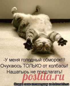Нашатырный спирт - применение на даче. тля