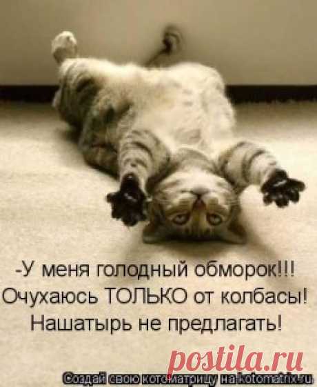 Нашатырный спирт - применение на даче. тля