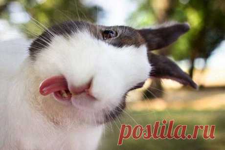 Добро пожаловать на Ищу друзей