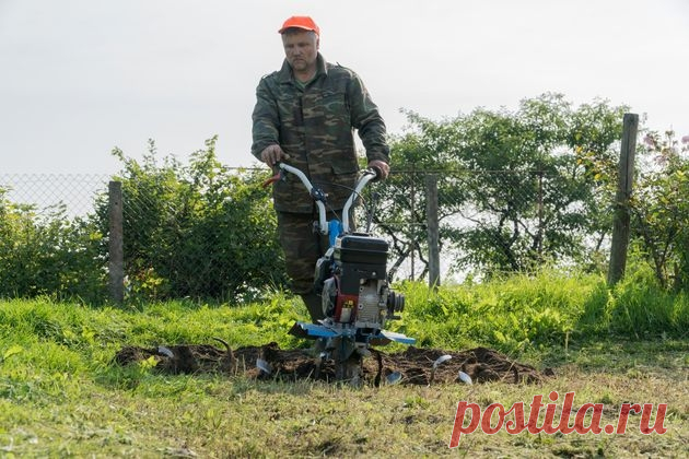 Об удобрениях и улучшении плодородия почвы Все дачники сталкиваются с тем, что с годами земля на участке истощается. Этой проблеме приходится уделять особое внимание. Андрей Туманов рассказал, как поддерживать и улучшать плодородие почвы, какие для этого применять удобрения...