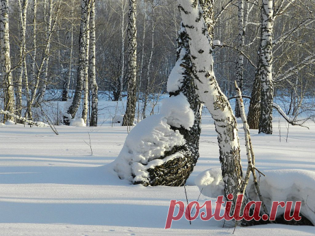 ФОТОМАСТЕРСКАЯ ПРИРОДЫ
Вера Кроликова