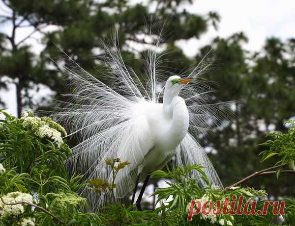 (3) Мой Мир@Mail.Ru