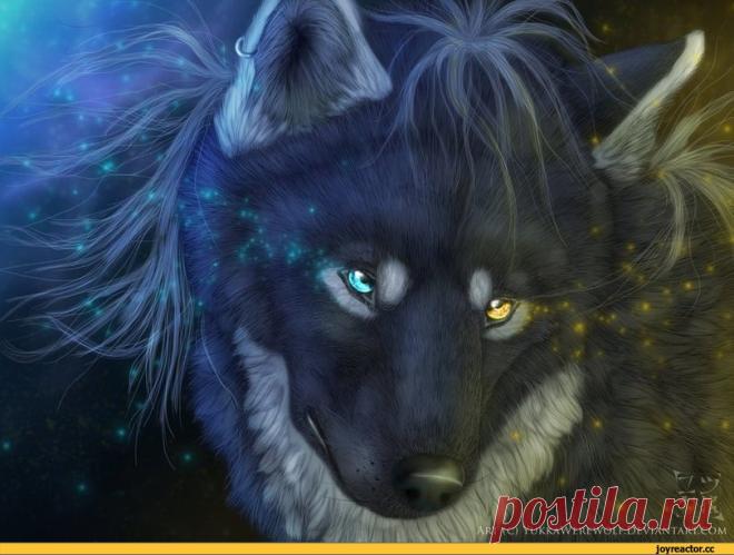 JoyReactor - смешные картинки и другие приколы: комиксы, гиф анимация, видео, лучший интеллектуальный юмор.