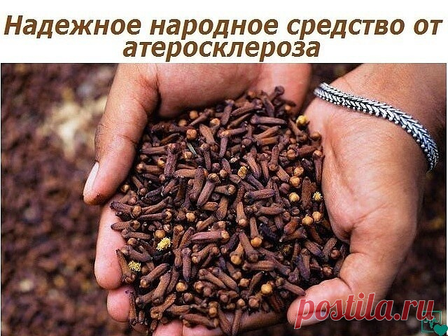 Есть хороший рецепт от атеросклероза сосудов. Он поможет и при болях в сердце, не будет кружиться голова, улучшится зрение и со слухом будет хорошо, исчезнет шум в голове. А рецепт вот какой:
берете гвоздику (приправа) 25 г,
водки 0,5 л,
сахара 0,5 кг,
3-4 лимона (их натереть на терке с кожурой).
Все вышеперечисленное переливаем в трехлитровую банку, туда же добавляем теплую кипяченую воду до «плечиков» банки и настаиваем две недели в темном месте.
Принимать по 25 мл три р...