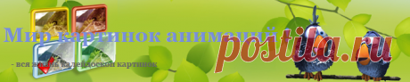 Красивые картинки анимации и открытки на самые разные темы.