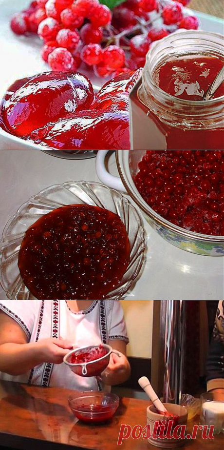 Рецепт приготовления желе из калины красной: сырое, вареное и с медом