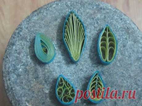 how to make quilling leaves (5 different types)