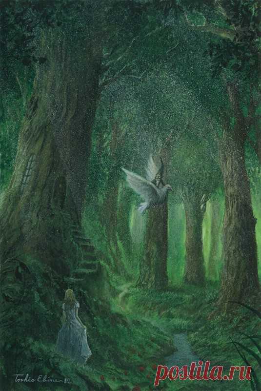 Лес Чудес / Thosio Ebine
