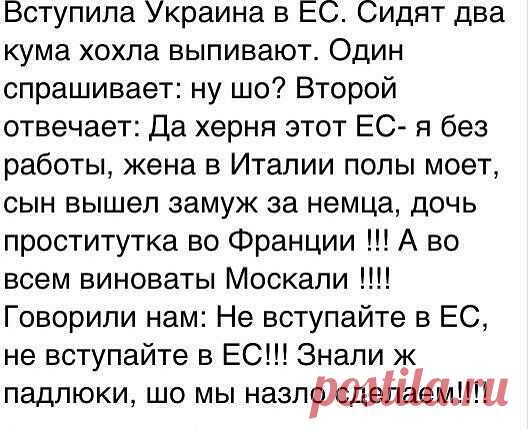 (95) Одноклассники