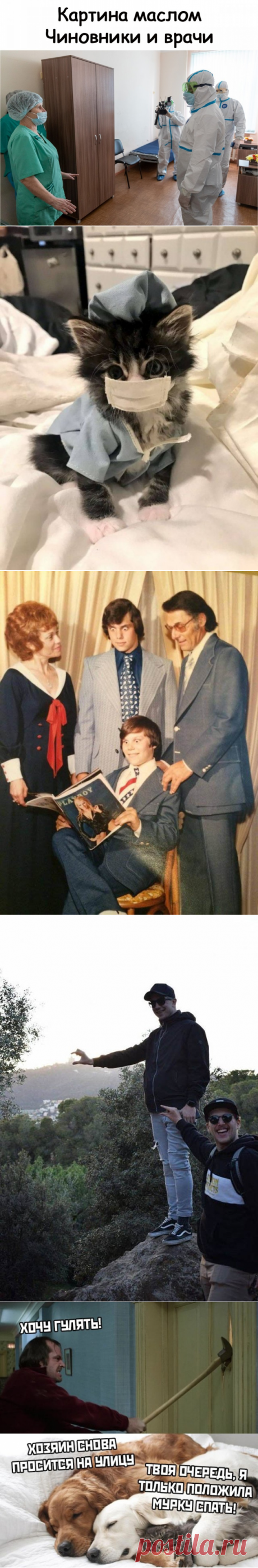 Подборка прикольных картинок и фотографий-248