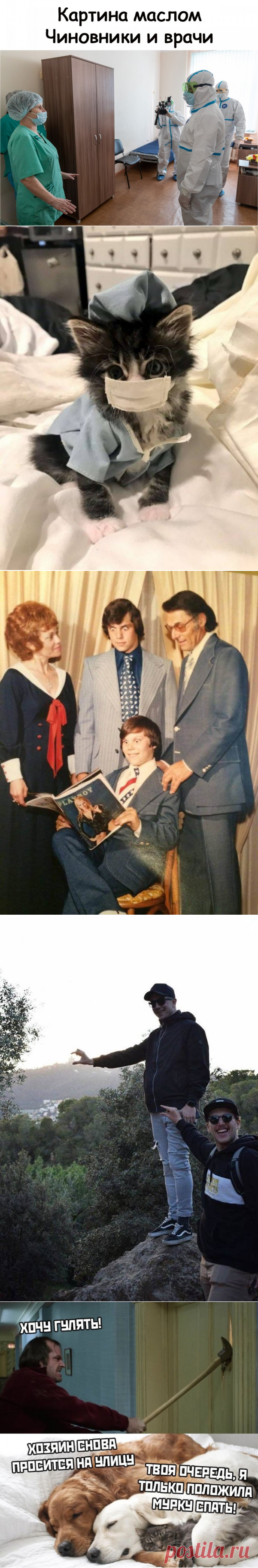 Подборка прикольных картинок и фотографий-248