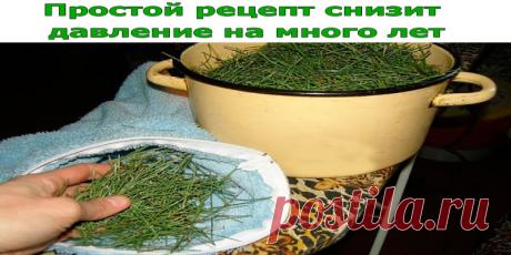 Простой рецепт снизит давление на много лет | Полезные советы!