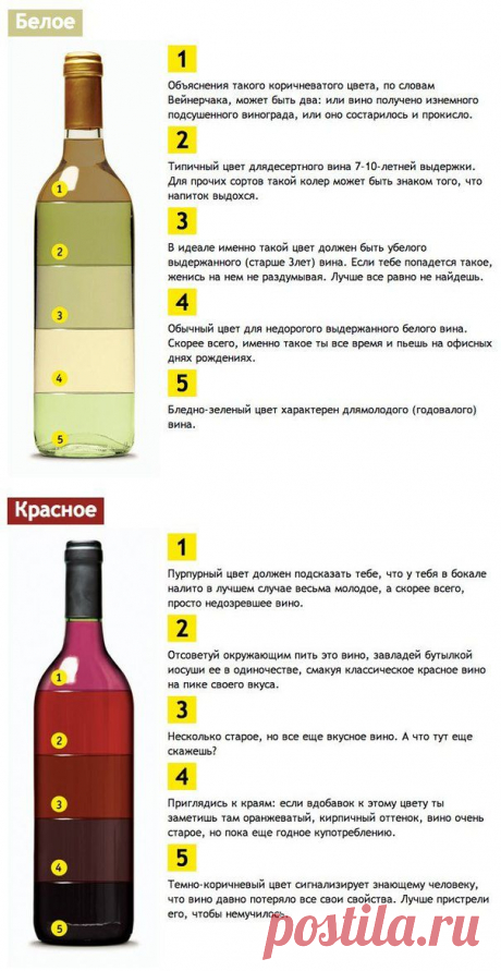 Качество вина проще всего оценить по его цвету