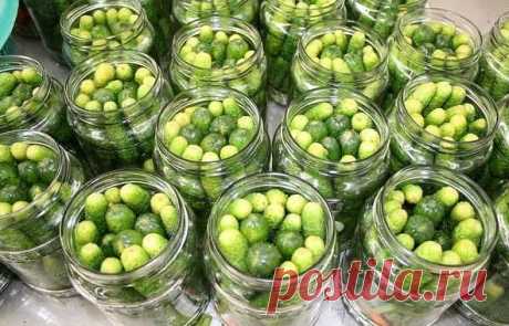МАРИНОВАННЫЕ ОГУРЦЫ «ПО-ДЕТСКИ» | Кулинарушка - Вкусные Рецепты