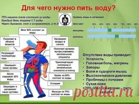 Для чего нужно пить воду.