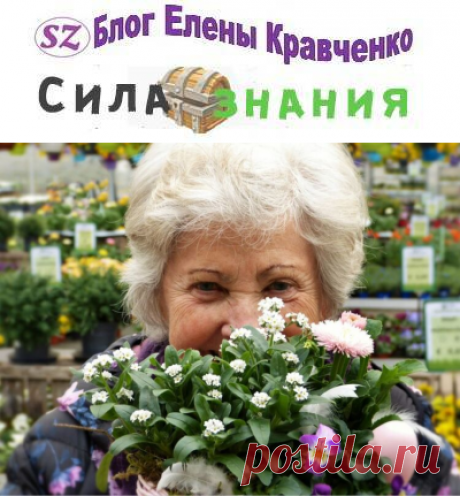 Что подарить бабушке на 8 марта — недорого и оригинально