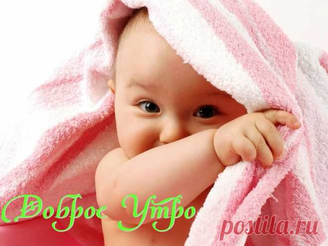 Доброе Утро
