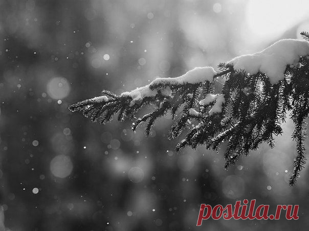 Шедевры поэзии