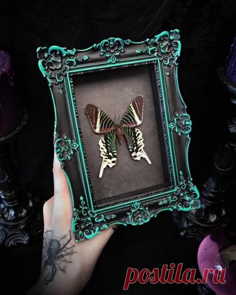 25d0c6a9680b225da7403eed7fe406af.jpg (564×705)