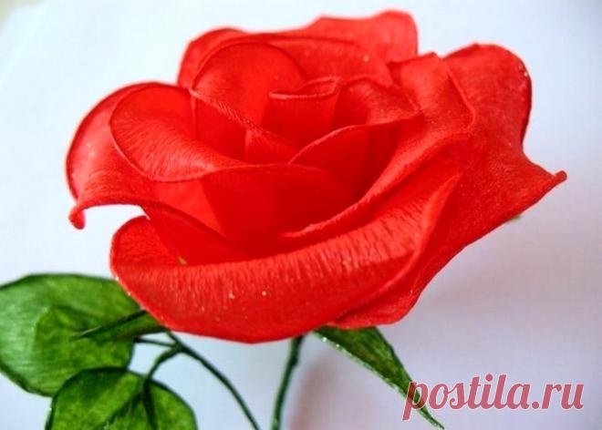 Цветы из гофрированной бумаги своими руками