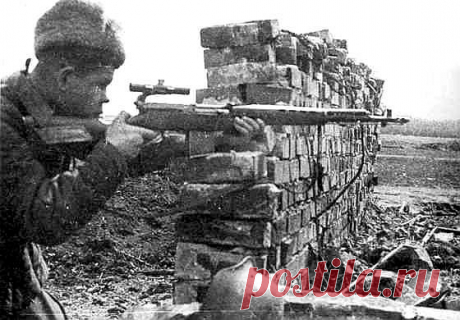 Николай Ильин ушел на фронт добровольцем. В феврале 1942-го двадцатилетнего парня из украинского села Чернухино направили снайпером в 50-й гвардейский полк 57-й армии Сталинградского фронта. Находчивый и храбрый боец, безошибочный стрелок, на фронте он убил почти 500 немецких захватчиков. В одном из боев Ильин записал на свой счет немецкий бомбардировщик. Рассказываем, каким был самый результативный снайпер Великой Отечественной войны.