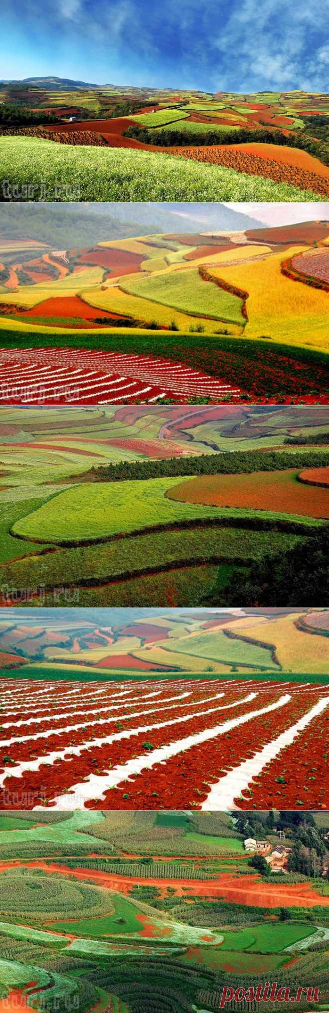 Китай, Юньнань: Dongchuan Red Soil - красные земли Дончуаня или Лоскутное одеяло на холмах / Мировые Достопримечательности / Мировые достопримечательности. Фото достопримечательностей, идеи для путешествий. Туристический журнал.