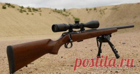 Особенности серии 455 малокалиберных винтовок CZ под патрон кольцевого воспламенения