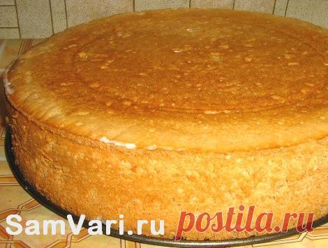 Фото - рецепт бисквитного теста. Как приготовить классический бисквит.