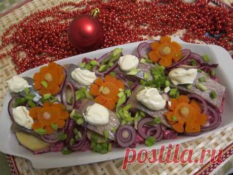 СЕЛЁДКА БЕЗ ШУБКИ )))  **Красивая подача! *Нижний слой - свекла с майонезом, а остальное - твоя Фантазия!