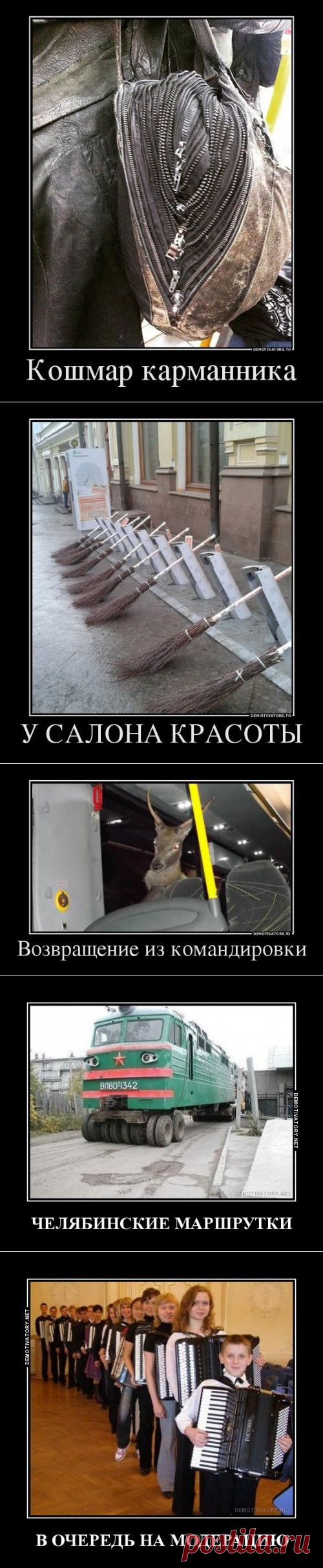 Свежая порция демотиваторов (21 шт)