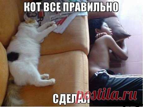 geram: Каким судом судите,таким будете судимы;и какою мерою мерите,такою и вам будут мерить---Иисус Христос