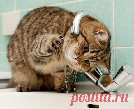 Не отступать и не сдаваться!