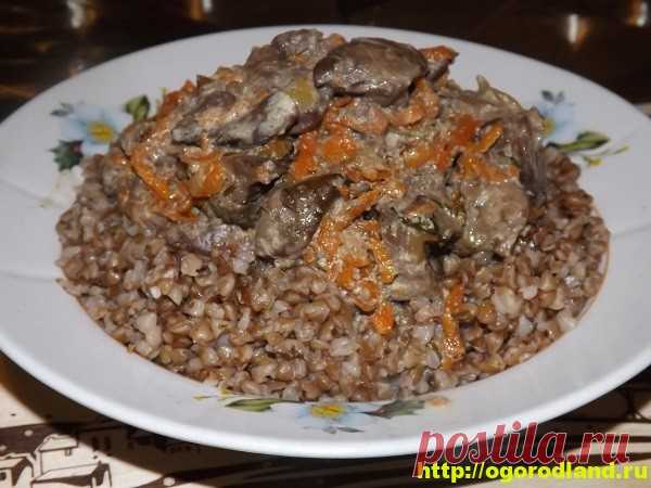 Куриная печень в сметане с гречкой. Рецепт приготовления