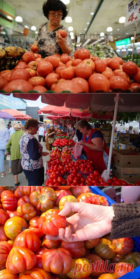 Как научиться выбирать вкусные помидоры - Я узнаю