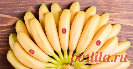 13 продуктов, которые борются с кислым рефлюксом | Андрей Горковцов, записки врача-эндоскописта У большинства людей изжога появляется время от времени, но если она возникает два или более раз в неделю, то это может означать наличие гастроэзофагеальной рефлюксной болезни (ГЭРБ), термин, используемый для описания хронической изжоги. Изжога вызвана желудочной кислотой, которая забрасывается в пищевод.