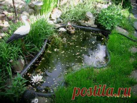Делаем сами – Ольга Стехина (Зинченко) добавила фотографию в альбом ВОДОЕМЫ на наших участках (Водоем должен...