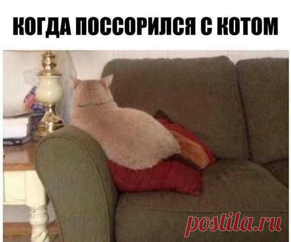 Иногда у них больше эмоций, чем у людей ))