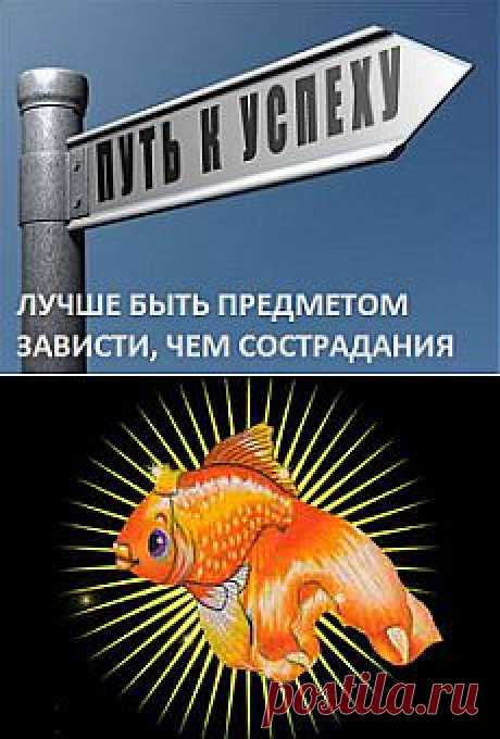 Исполнение желаний: мистика или искусство системно мыслить? | ЖИВОЙ, ЕЩЕ ЖИВЕЕ