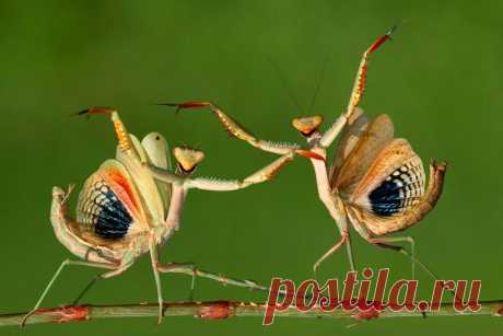 &gt;&gt; Sony World Photography Awards 2014 | ФОТО НОВОСТИ