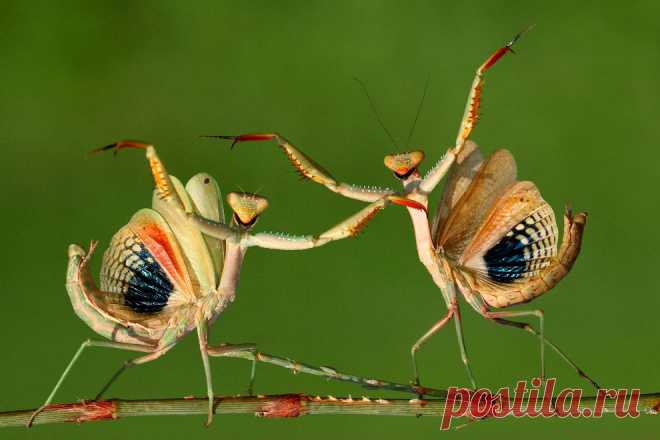 >> Sony World Photography Awards 2014 | ФОТО НОВОСТИ