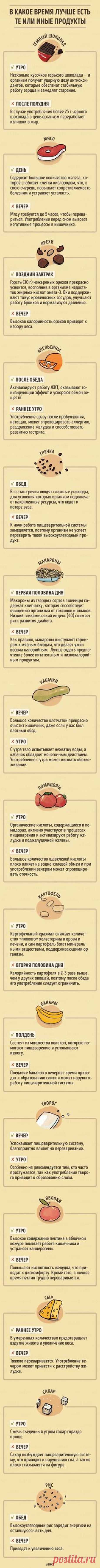В какое время дня лучше есть те или иные продукты: