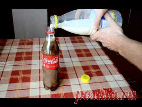 Have you ever seen the nastiness that happens when you put milk in Coke? | 22 Words