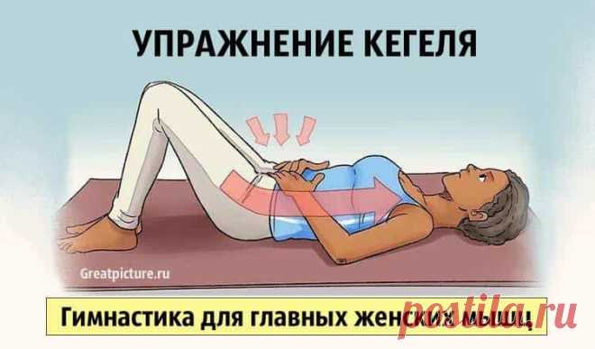 Упражнение Кегля. Гимнастика для главных женских мышц 

Упражнение Кегля. Гимнастика для главных женских мышц. Главными женскими мышцами, определены мышцы — малого таза. Они отвечают за состояние репродуктивных функций, за тонус и даже молодость тела. Эт…