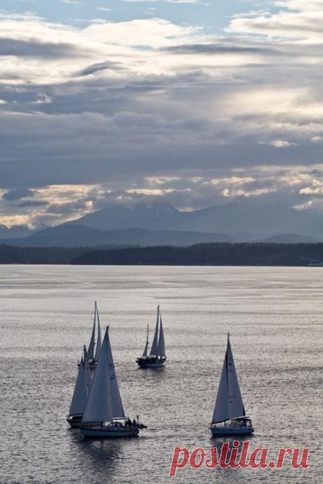 Birdcage Walk : breathtakingdestinations:Elliott Bay - Washington...